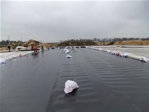 防滲土工膜